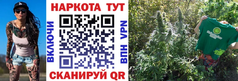 Виды наркоты Реутов Псилоцибиновые грибы A PVP ГАШ Cocaine