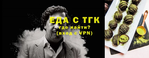 СК Шадринск