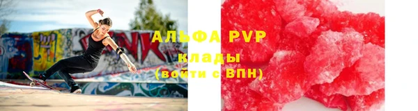 СК Шадринск