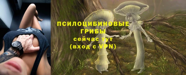MESCALINE Шали