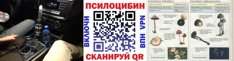 Псилоцибиновые грибы MAGIC MUSHROOMS  гидра зеркало  Реутов 